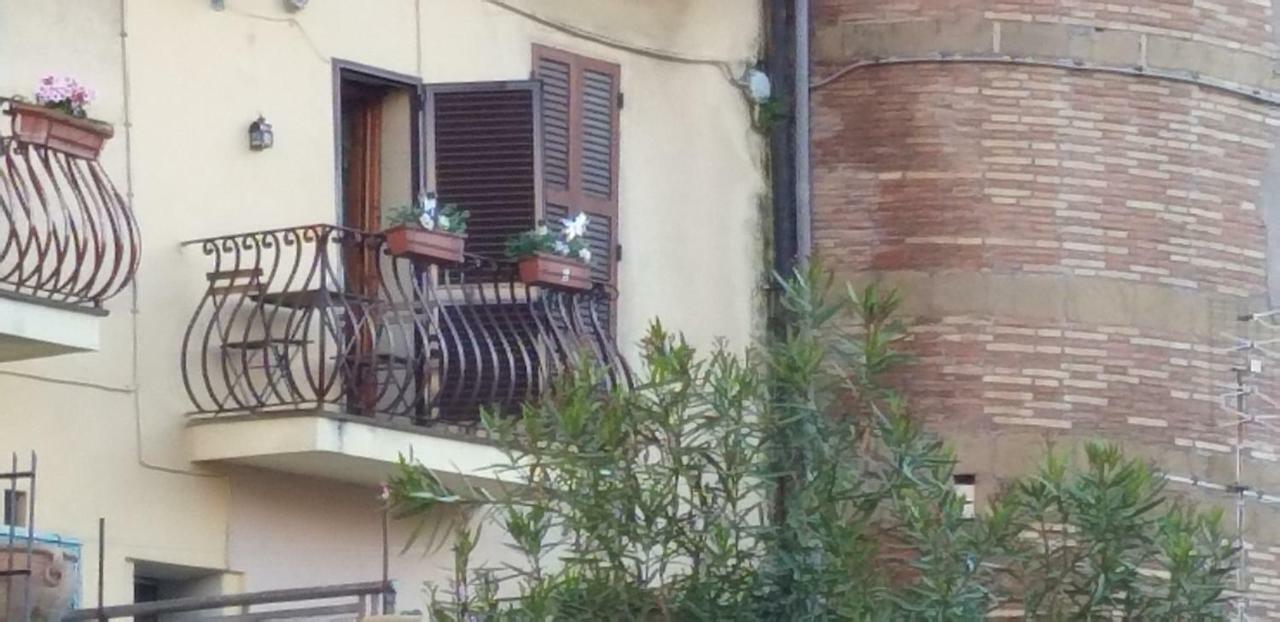 Lory's Near Rome, Giubileo 2025 *